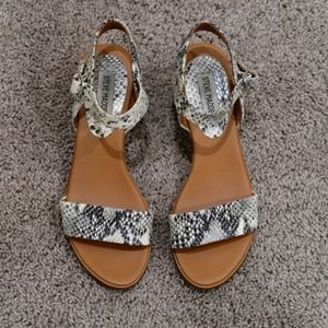Steve Madden sandals